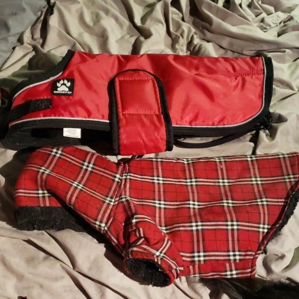 Shedraw K9 winter dog jacket and red hoodie jacket
